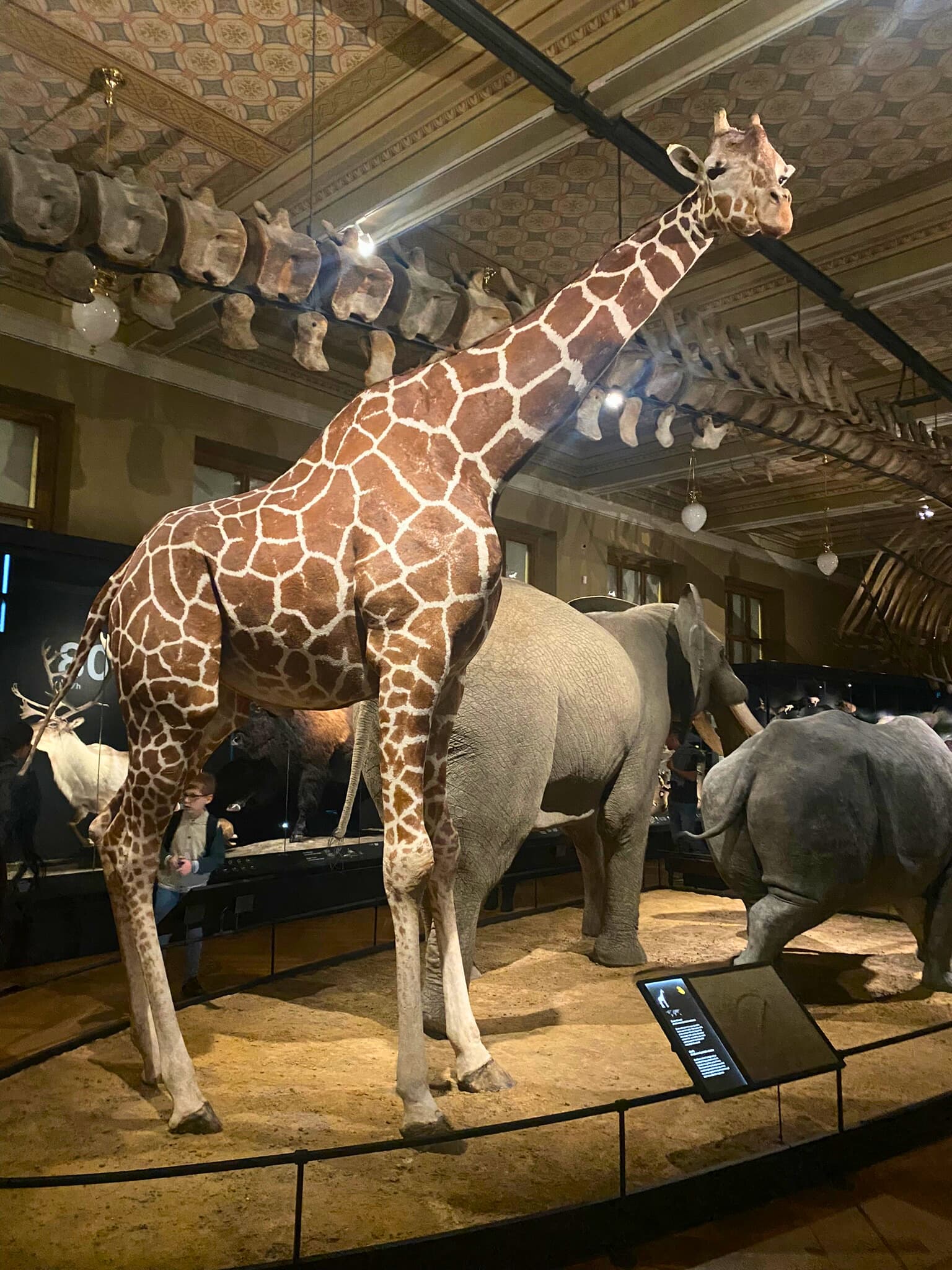 12. Národní Muzeum / Prag Ulusal Müze 2