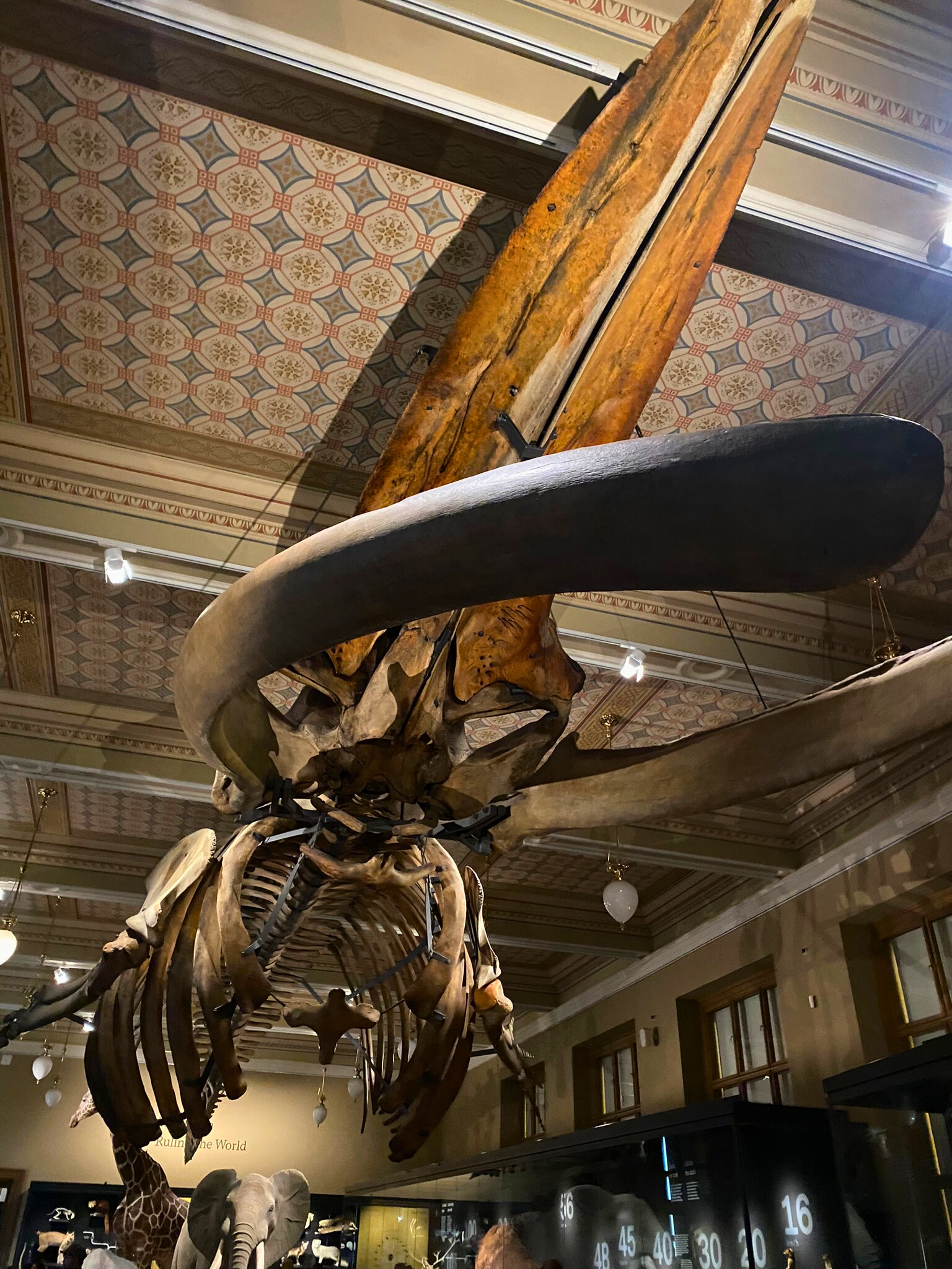 12. National Museum (Národní Muzeum) 1